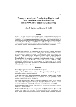 Two New Species of Eucalyptus (Myrtaceae) from Northern New South Wales (Series Viminales Section Maidenaria)