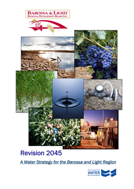 Revision 2045 – Water Strategy