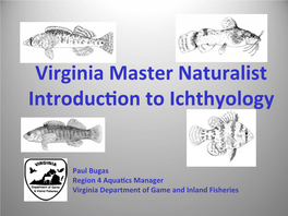 Virginia Master Naturalist Introducson to Ichthyology