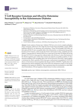 T Cell Receptor Genotype and Ubash3a Determine Susceptibility to Rat Autoimmune Diabetes