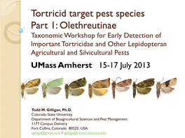 Tortricid Target Pest Species Part 1: Olethreutinae