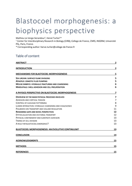 Blastocoel Morphogenesis