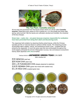 GREEN TEA Brewing Details