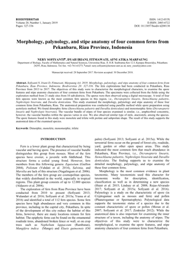 Morphology, Palynology, and Stipe Anatomy of Four Common Ferns from Pekanbaru, Riau Province, Indonesia