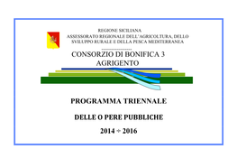 Programma Triennale Delle O Pere Pubbliche 2014 ÷ 2016 Consorzio Di