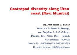 Gastropod Diversity Along Uran Coast (Navi Mumbai)
