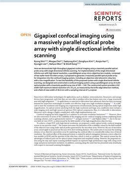 Gigapixel Confocal Imaging Using a Massively Parallel Optical Probe