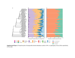 (A) Phylogeny of Taxa, (B) by Superfamily, (C) by Order