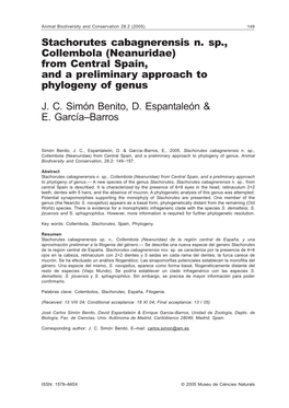 Stachorutes Cabagnerensis N. Sp., Collembola (Neanuridae) from Central Spain, and a Preliminary Approach to Phylogeny of Genus J