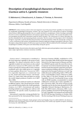 Description of Morphological Characters of Lettuce (Lactuca Sativa L.) Genetic Resources