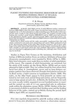 Flight Patterns and Feeding Behavior of Adult Milionia Isodoxa Prout at Bulolo, Papua New Guinea (Geometridae)