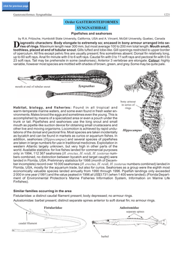 Order GASTEROSTEIFORMES SYNGNATHIDAE Pipefishes and Seahorses by R.A