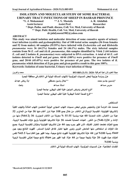 Isolation and Molecular Study of Some Bacterial Urinary Tract Infections of Sheep in Basrah Province *Y