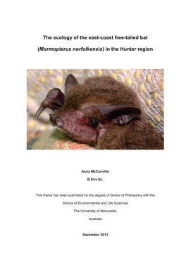 The Ecology of the East-Coast Free-Tailed Bat (Mormopterus Norfolkensis)