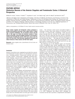 Distinctive Neurons of the Anterior Cingulate and Frontoinsular Cortex: a Historical Perspective