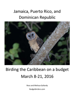 Jamaica, Puerto Rico, and Dominican Republic Birding the Caribbean On