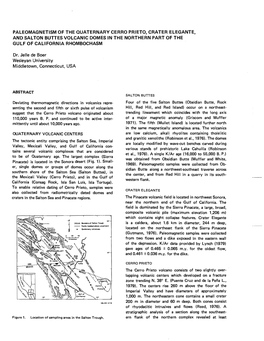 Paleomagnetism of the Quaternary Cerro Prieto, Crater Elegante, and Salton Buttes Volcanic Domes in the Northern Part of the Gulf of California Rhombochasm