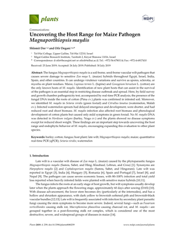 Uncovering the Host Range for Maize Pathogen Magnaporthiopsis Maydis