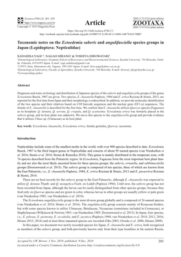 Taxonomic Notes on the Ectoedemia Suberis and Angulifasciella Species Groups in Japan (Lepidoptera: Nepticulidae)