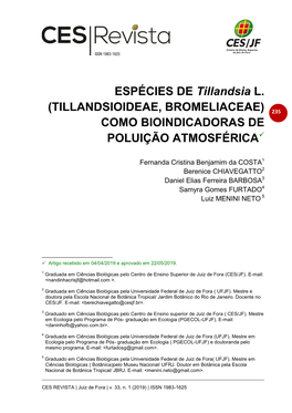 ESPÉCIES DE Tillandsia L