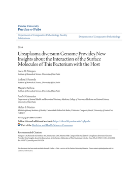 Ureaplasma Diversum Genome Provides New Insights About the Interaction of the Surface Molecules of This Bacterium with the Host Lucas M