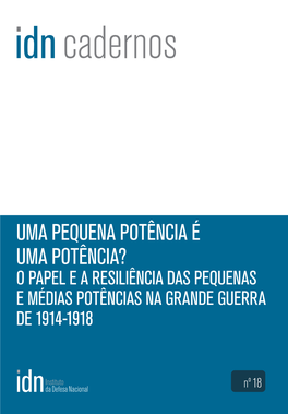 Uma Pequena Potência É Uma Potência? O Papel E a Resiliência Das Pequenas E Médias Potências Na Grande Guerra De 1914-1918