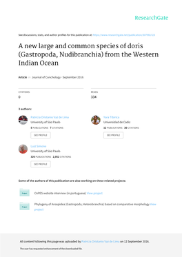 A New Large and Common Species of Doris (Gastropoda, Nudibranchia) from the Western Indian Ocean