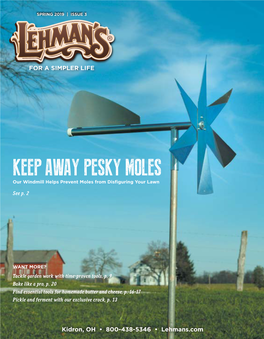 KEEP AWAY PESKY MOLES Our Windmill Helps Prevent Moles from Disfiguring Your Lawn