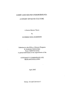 A Study of Rave Culture