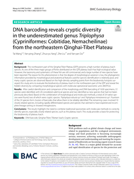 DNA Barcoding Reveals Cryptic Diversity in the Underestimated Genus