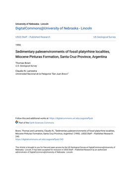 Sedimentary Paleoenvironments of Fossil Platyrrhine Localities, Miocene Pinturas Formation, Santa Cruz Province, Argentina