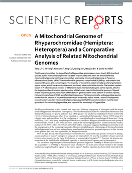 A Mitochondrial Genome of Rhyparochromidae