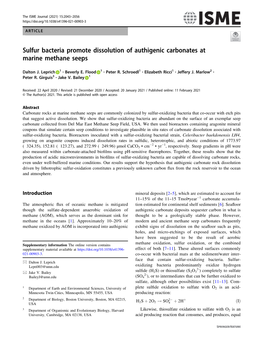 Sulfur Bacteria Promote Dissolution of Authigenic Carbonates at Marine Methane Seeps