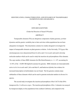 Identification, Characterization, and Dynamics of Transposable Elements in Iris and Brassica