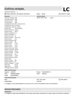 Erythrina Variegata LC Taxonomic Authority: L