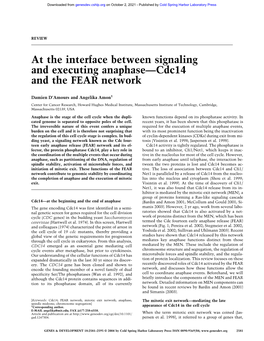 At the Interface Between Signaling and Executing Anaphase—Cdc14 and the FEAR Network