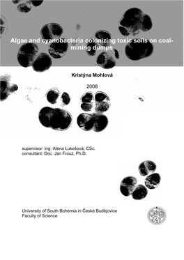 Algae and Cyanobacteria Colonizing Toxic Soils on Coal- Mining Dumps