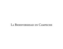 La Biodiversidad En Campeche Foto: Jorge Benítez Torres, E P O M E X -U a C La Biodiversidad En Campeche