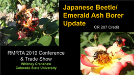 Japanese Beetle/ Emerald Ash Borer Update CR 207 Credit