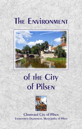 The Environment of the City of Pilsen