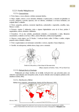 3.2.2.5. Familia Malpighiaceae 3.2.2.5.A