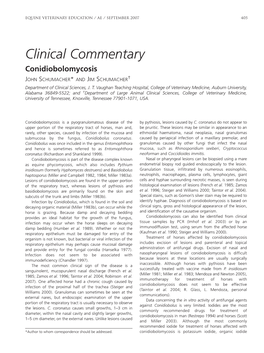 Clinical Commentary Conidiobolomycosis JOHN SCHUMACHER* and JIM SCHUMACHER† Department of Clinical Sciences, J