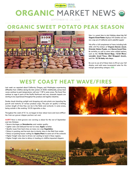 Organic Market News September 18 - 25, 2020 Organic Sweet Potato Peak Season