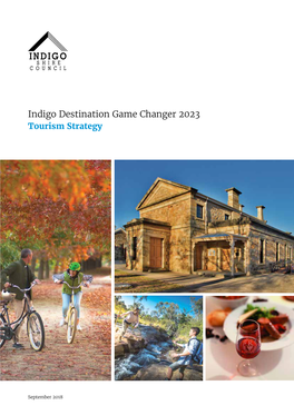 Indigo Destination Game Changer 2023 Tourism Strategy