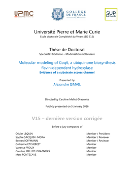 Molecular Modeling of Coq6, a Ubiquinone Biosynthesis Flavin-Dependent Hydroxylase Evidence of a Substrate Access Channel