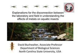 David Buchwalter, Associate Professor Department of Biological Sciences North Carolina State University, USA Overview – Major Themes