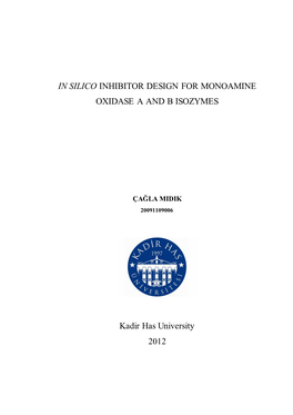 In Silico Inhibitor Design for Monoamine Oxidase a and B Isozymes