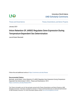 Intron Retention of JARID2 Regulates Gene Expression During Temperature-Dependent Sex Determination