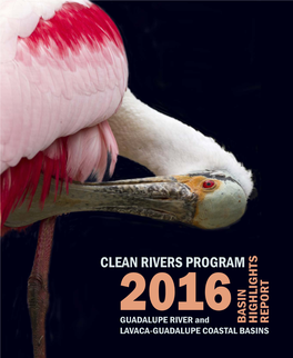 2016 Clean Rivers Program Basin Highlights Report