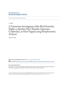 A Taxonomic Investigation of the Black Ratsnake, Elaphe O. Obsoleta (Say) [Reptilia, Squamata, Colubridae], in West Virginia Using Morphometric Analyses Adam M